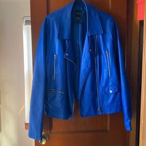 Electric Blue Leather Jacket